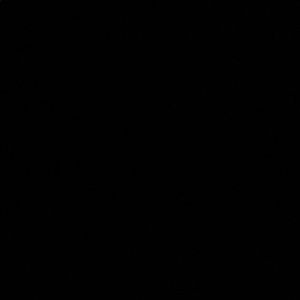 Meet your Posher, Rayleen